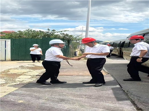 市領導蒞臨漣源市2025年重點項目湖南中材鎢業(yè)建設現場